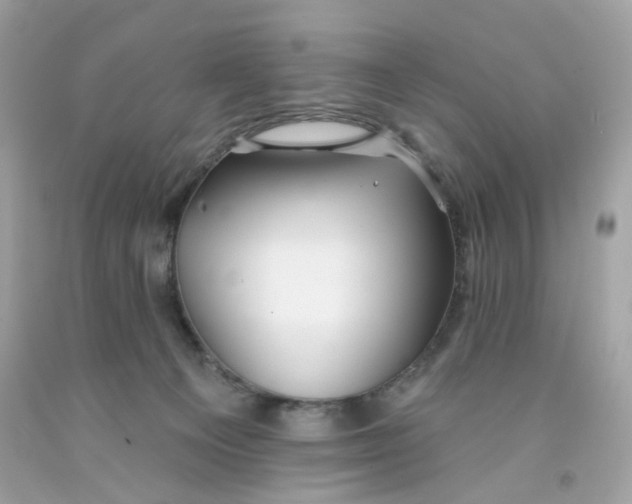 X0000091070129200709041227