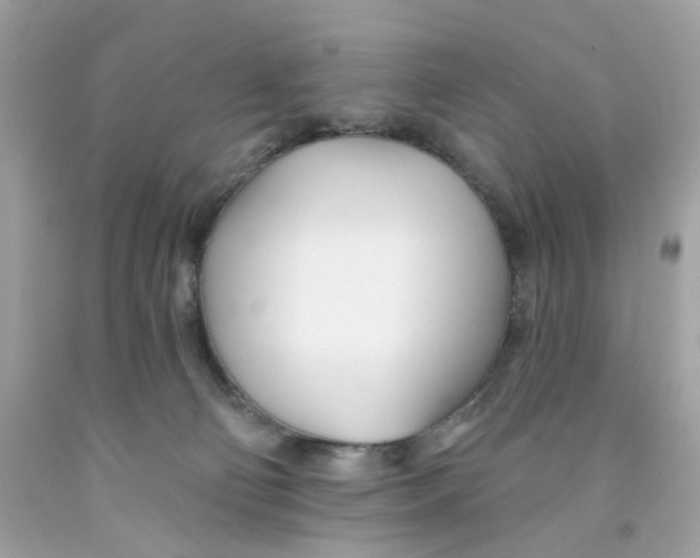 X0000091070130200709041227