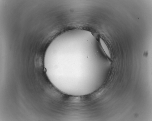 X0000091070131200709041227