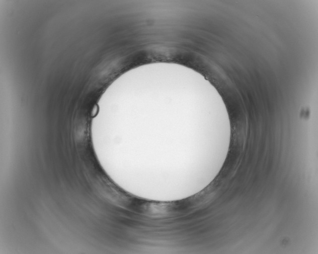 X0000091070134200709041227