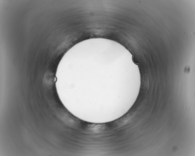X0000091070135200709041227