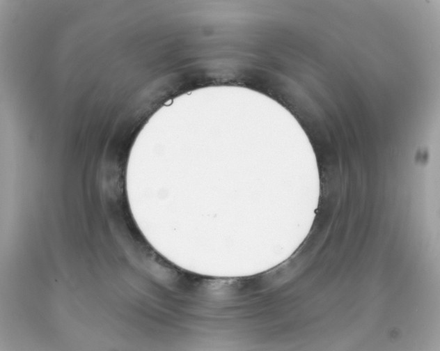 X0000091070136200709041227