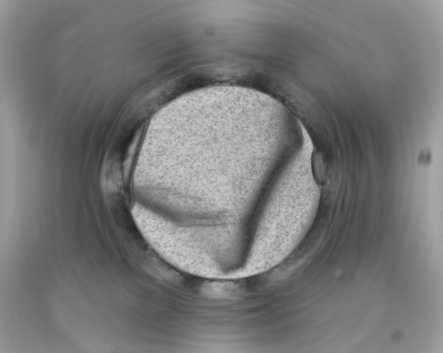 X0000091070137200709041227