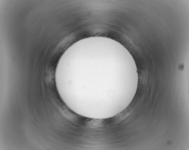 X0000091070138200709041227