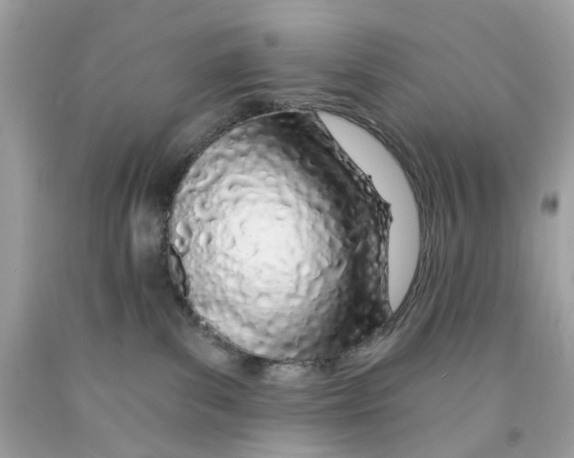 X0000091070139200709041227