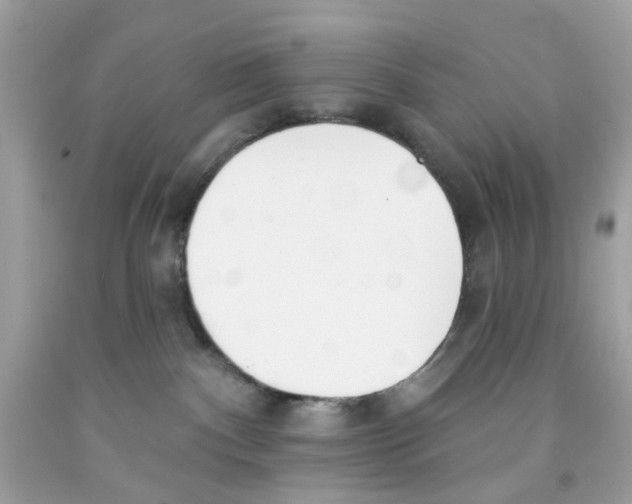 X0000091070140200709041227
