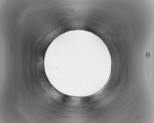X0000091070144200709041227