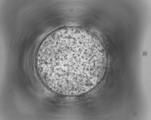 X0000091070145200709041227