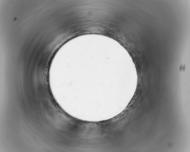 X0000091070146200709041227
