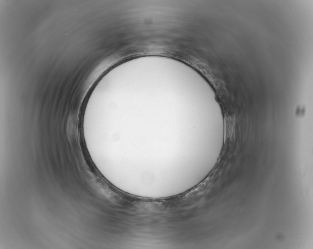 X0000091070147200709041227
