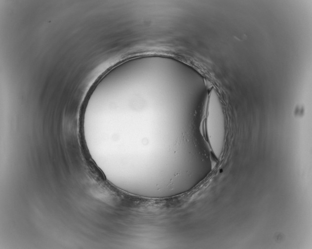 X0000091070148200709041227