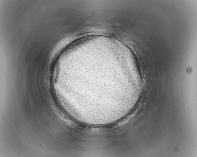 X0000091070149200709041227