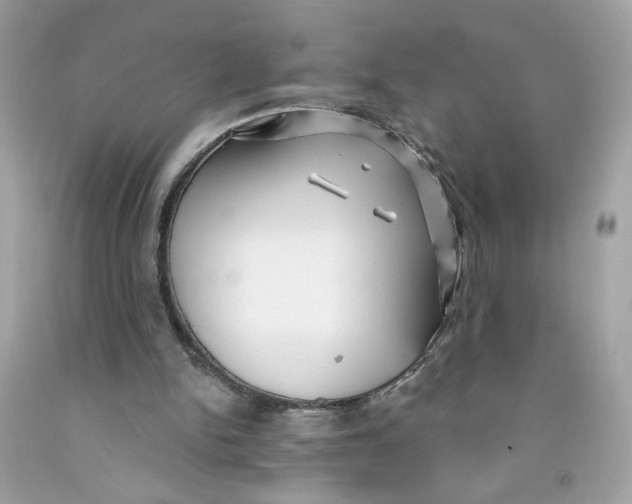 X0000091070150200709041227