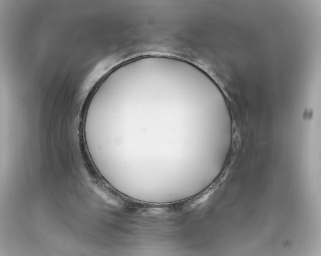 X0000091070151200709041227