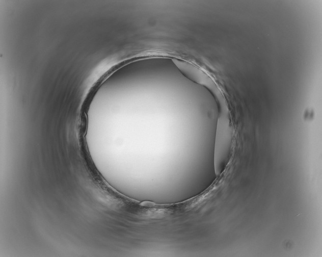 X0000091070152200709041227