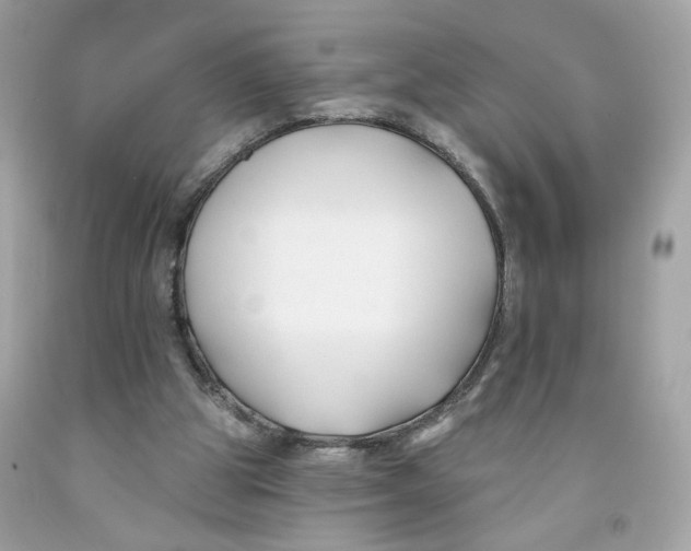 X0000091070153200709041227