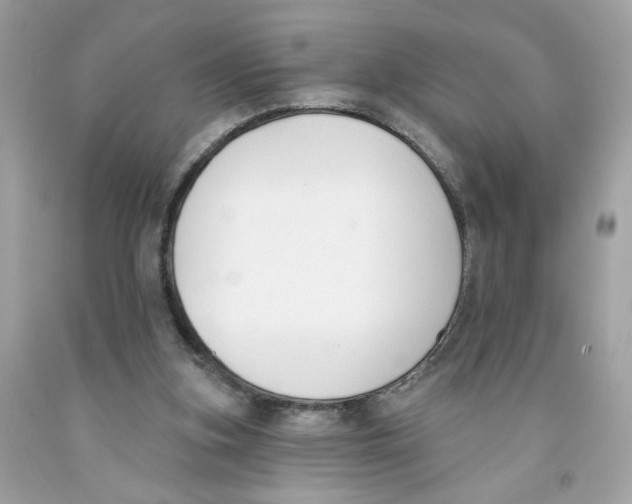 X0000091070155200709041227