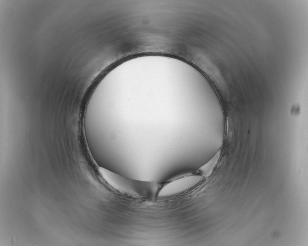 X0000091070156200709041227