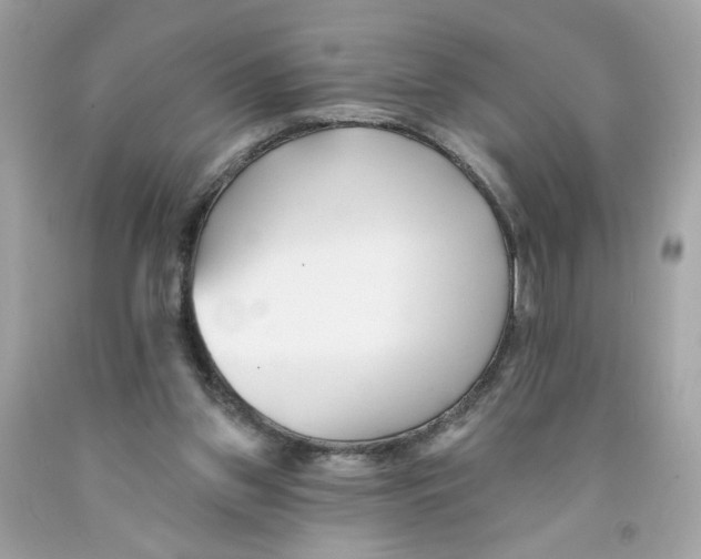X0000091070157200709041227