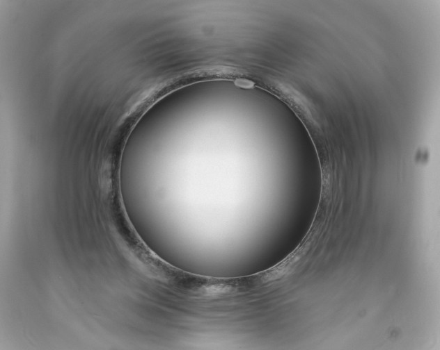 X0000091070158200709041227