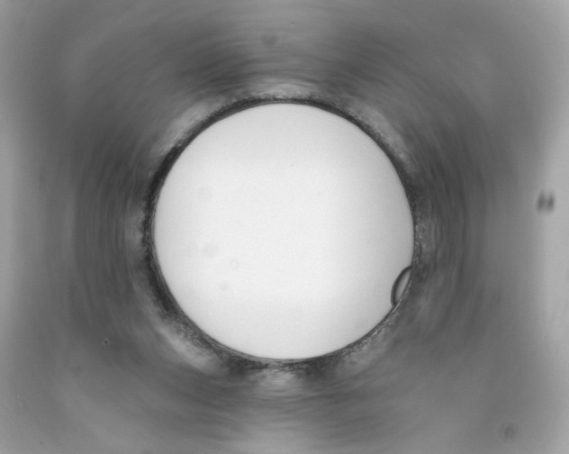 X0000091070159200709041227