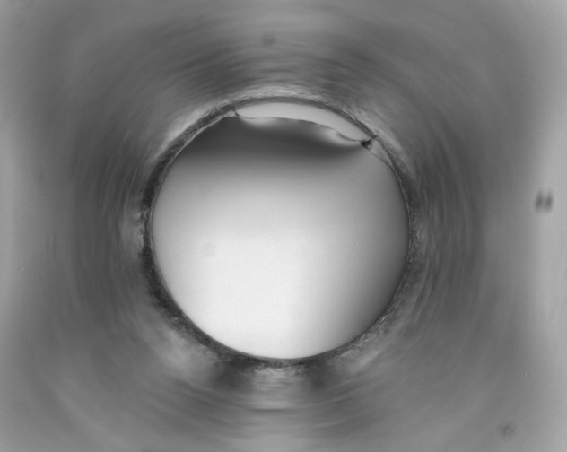 X0000091070160200709041227