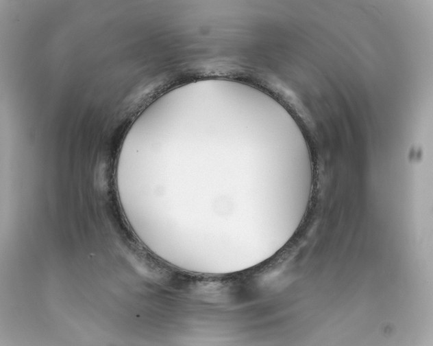X0000091070161200709041227