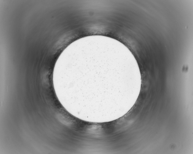 X0000091070162200709041227