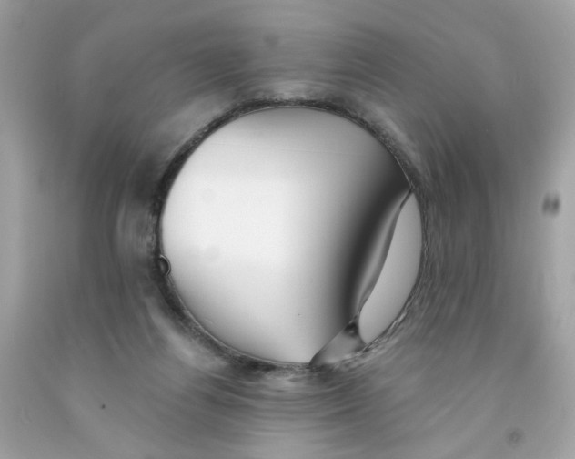 X0000091070164200709041227