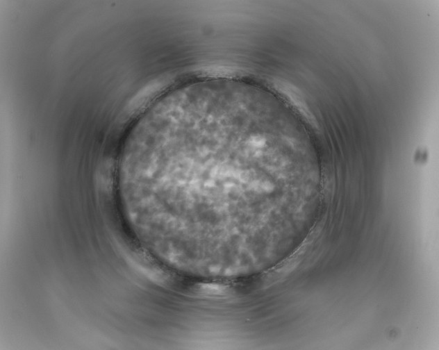 X0000091070167200709041227