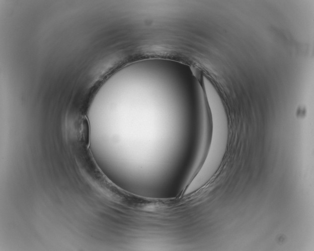 X0000091070168200709041227