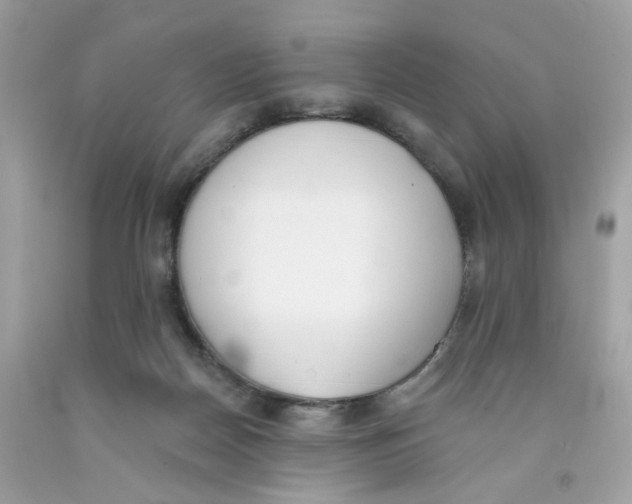 X0000091070170200709041227