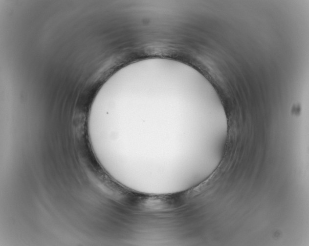 X0000091070171200709041227