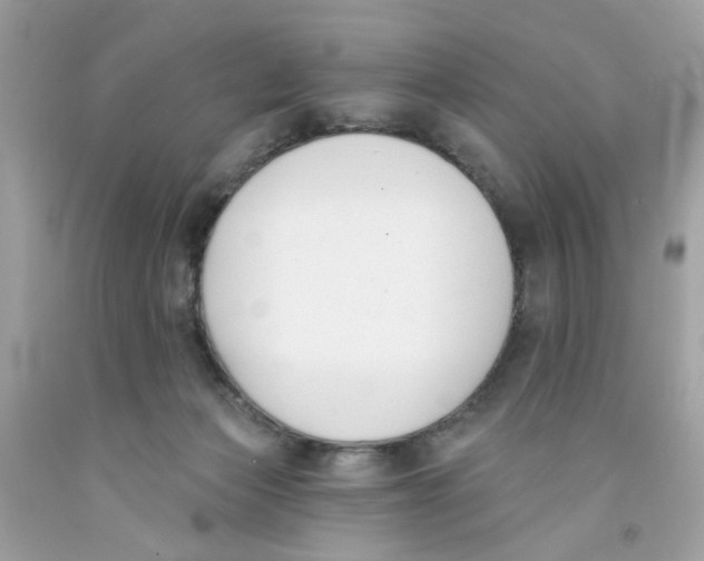 X0000091070173200709041227