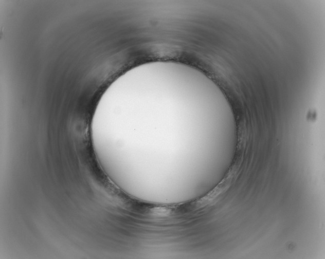X0000091070176200709041227