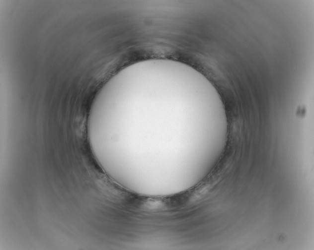 X0000091070177200709041227
