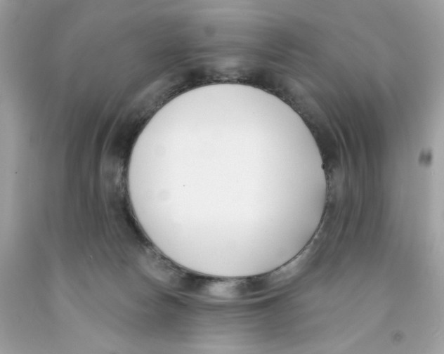 X0000091070178200709041227