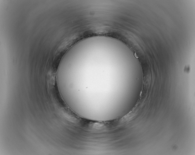 X0000091070180200709041227