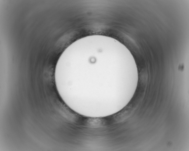 X0000091070181200709041227