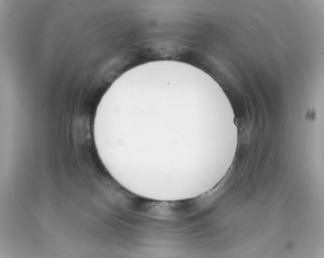 X0000091070182200709041227
