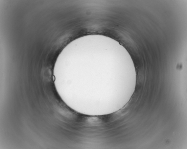 X0000091070183200709041227