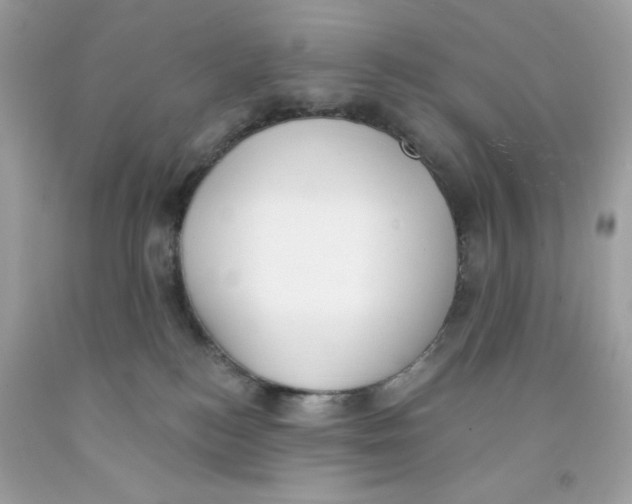 X0000091070184200709041227