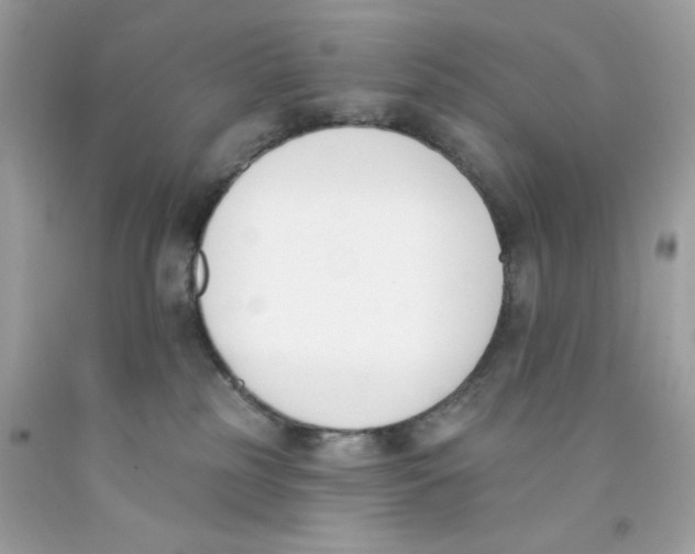 X0000091070185200709041227