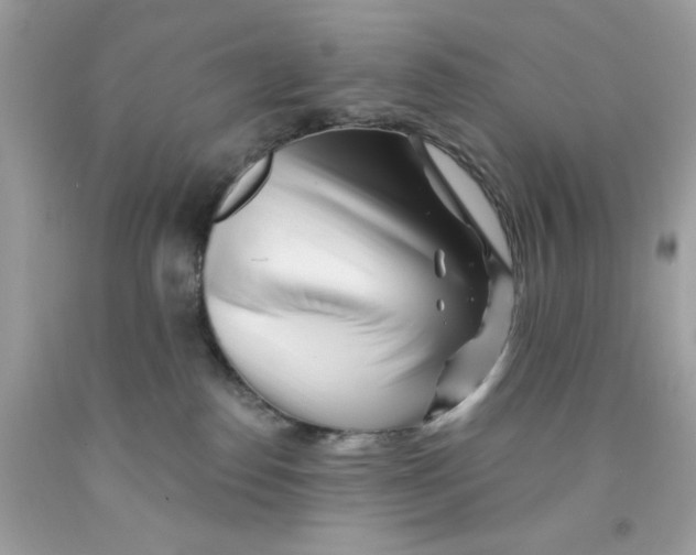 X0000091070186200709041227