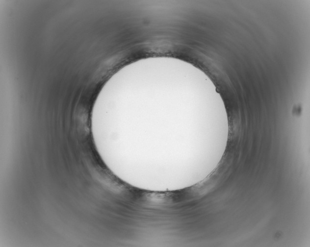 X0000091070187200709041227