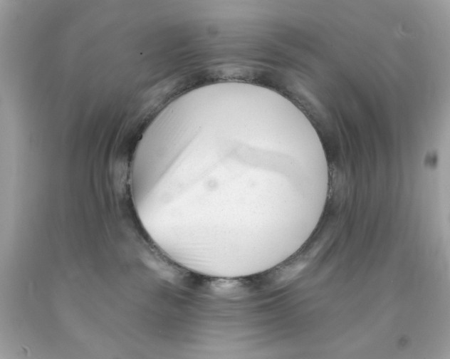 X0000091070189200709041227