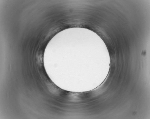 X0000091070190200709041227