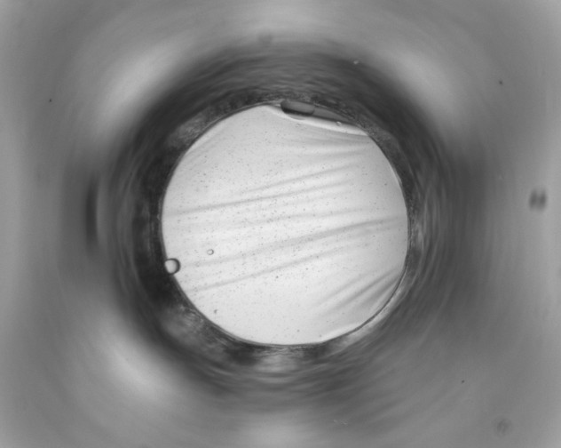 X0000091070191200709041227