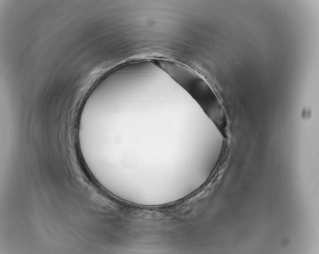 X0000091070193200709041227
