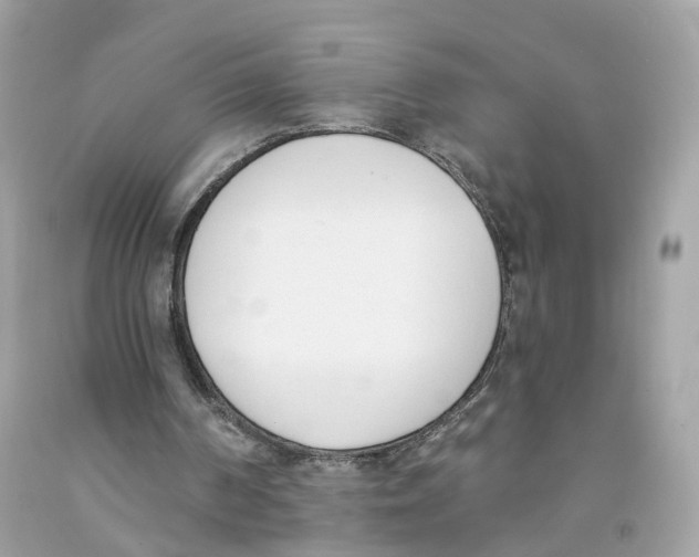 X0000091070194200709041227